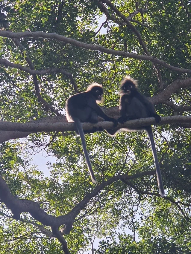 20250710_155620.jpg?type=w1600