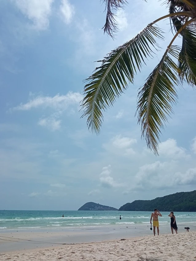 IMG_20230207_115529.jpg?type=w1600