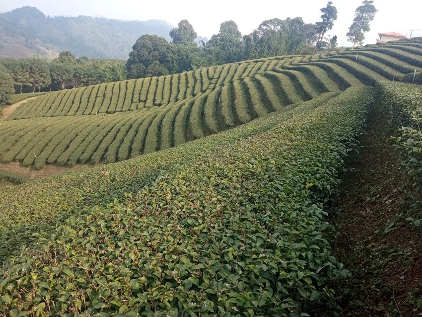 IMG_20221224_150219.jpg?type=w1600