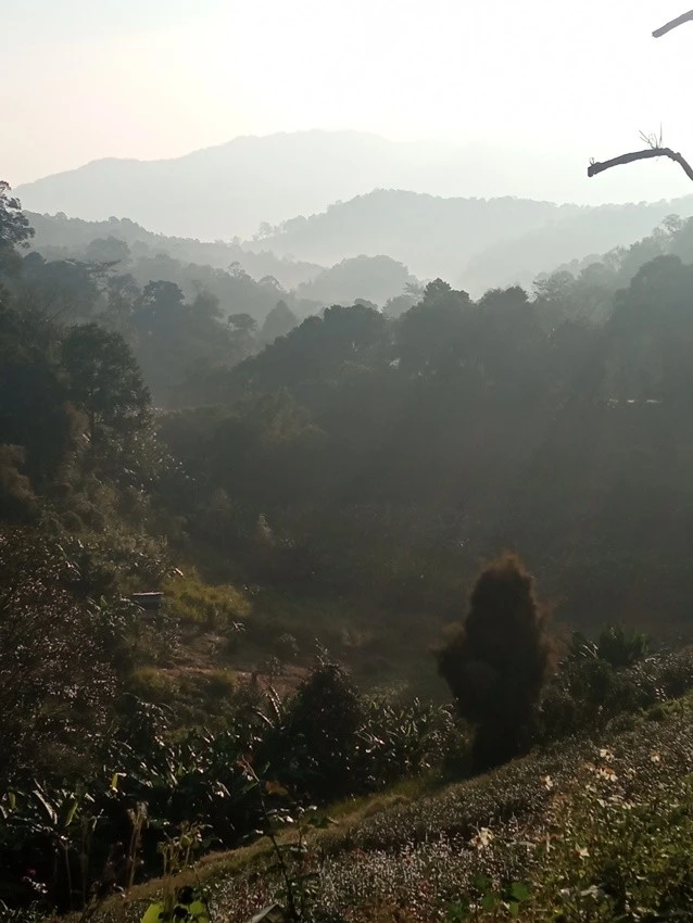 IMG_20221216_075650.jpg?type=w1600