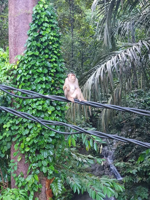 20250617_084940.jpg?type=w1600