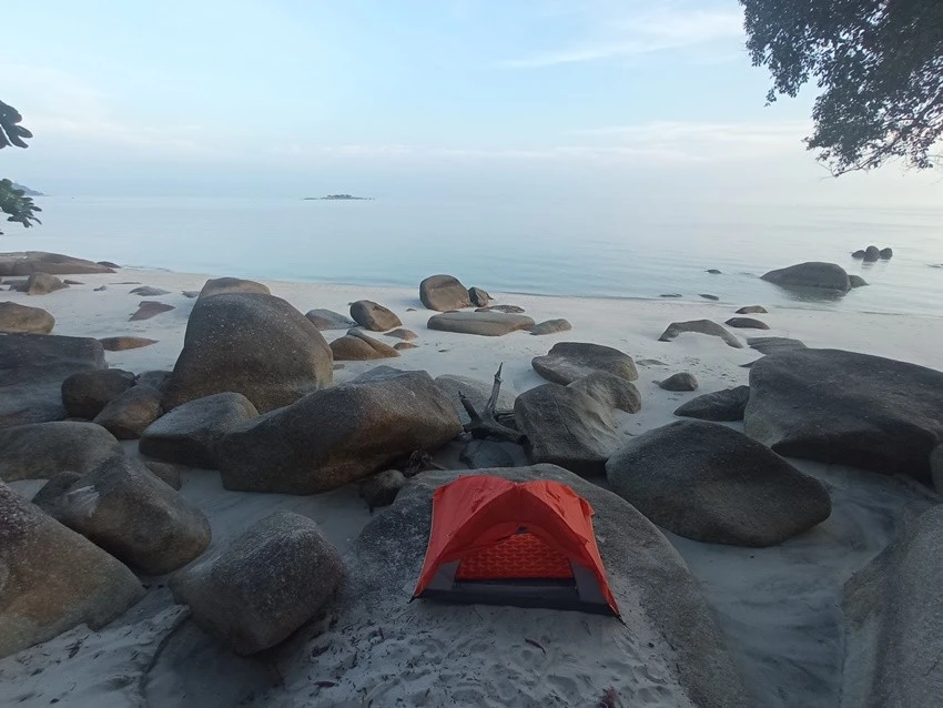 IMG_20230322_081359.jpg?type=w1600