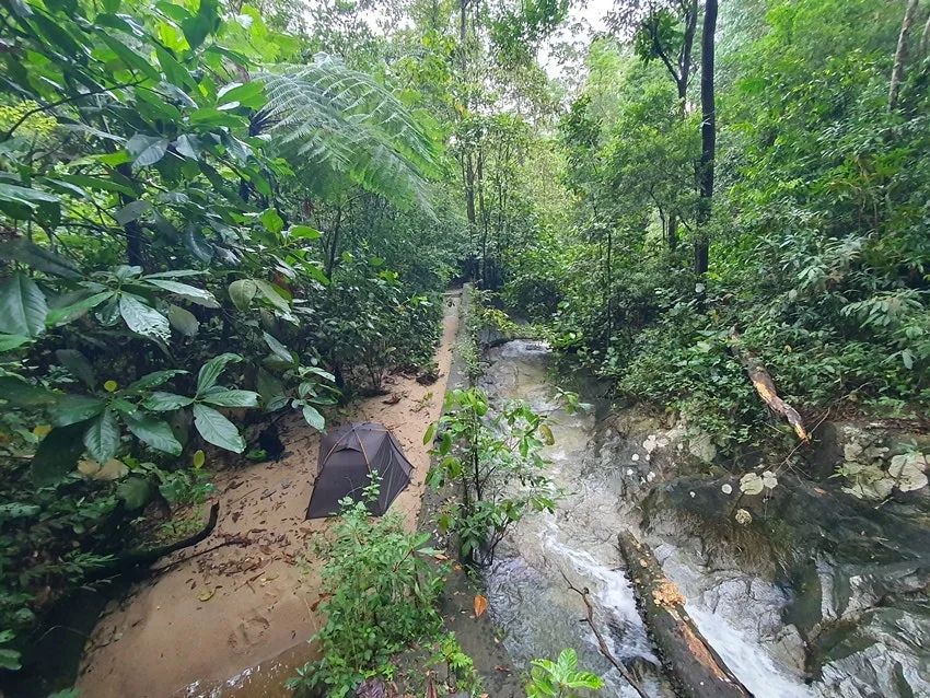 20250617_074921.jpg?type=w1600