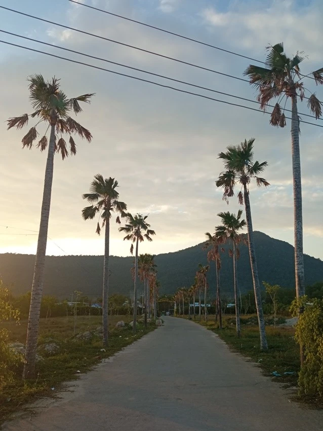 IMG_20230209_174946.jpg?type=w1600