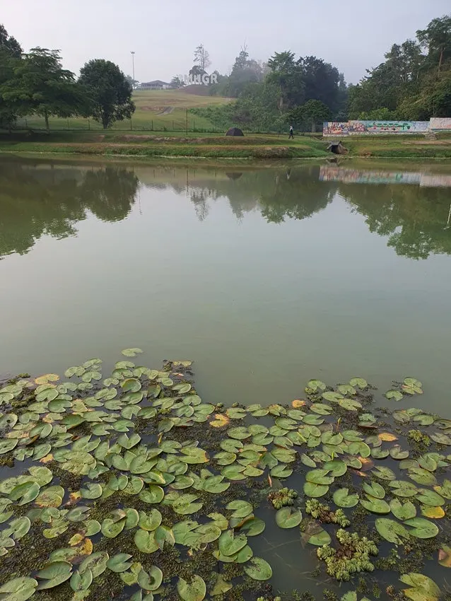 20250706_075317.jpg?type=w1600