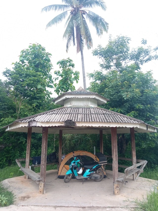 IMG_20220531_063747.jpg?type=w773