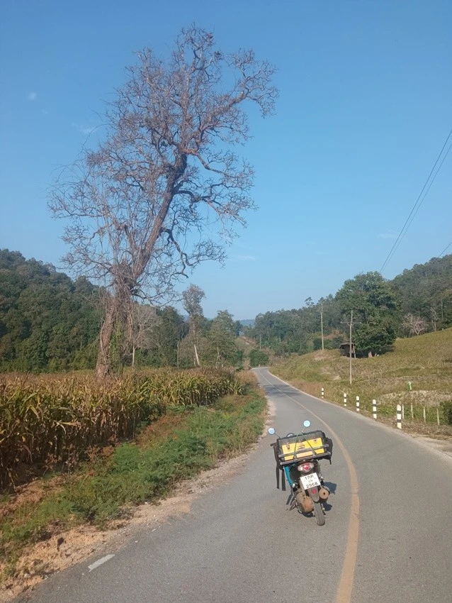 IMG_20221226_090343.jpg?type=w1600