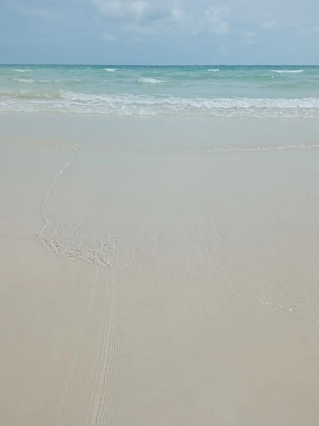 IMG_20230207_120658.jpg?type=w1600