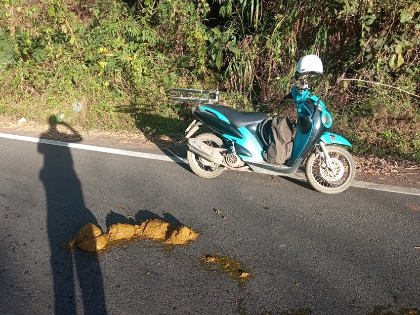 IMG_20230106_162852.jpg?type=w1600