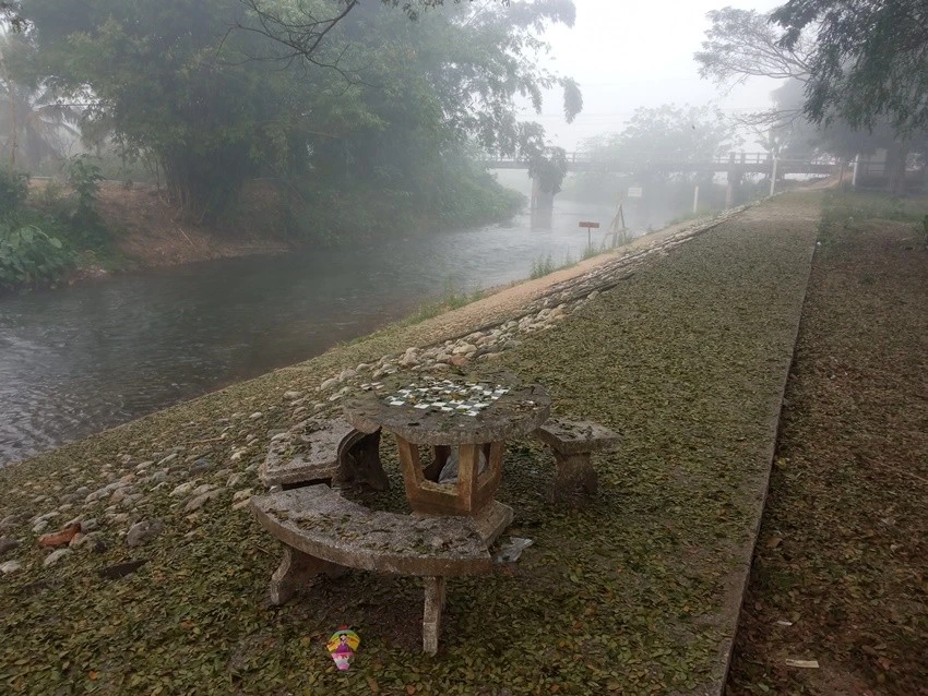 IMG_20221223_075057.jpg?type=w1600