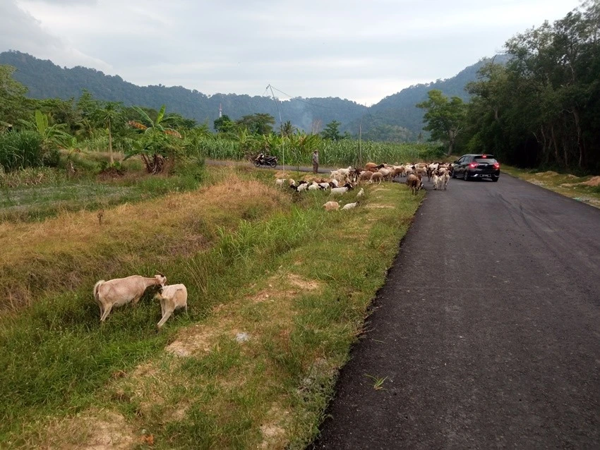 IMG_20230320_184124.jpg?type=w1600