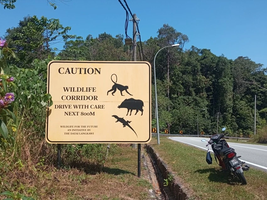 IMG_20230310_115012.jpg?type=w1600