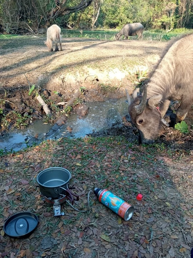 IMG_20230125_084725.jpg?type=w1600