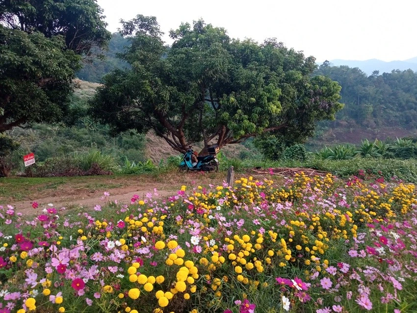 IMG_20221215_065313.jpg?type=w1600