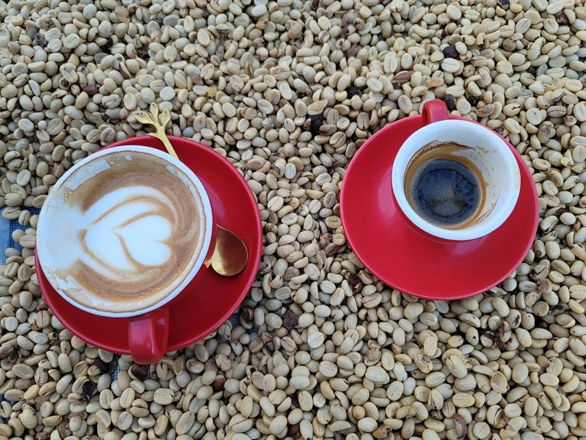 KakaoTalk_20221224_114139049_08.jpg?type=w1600