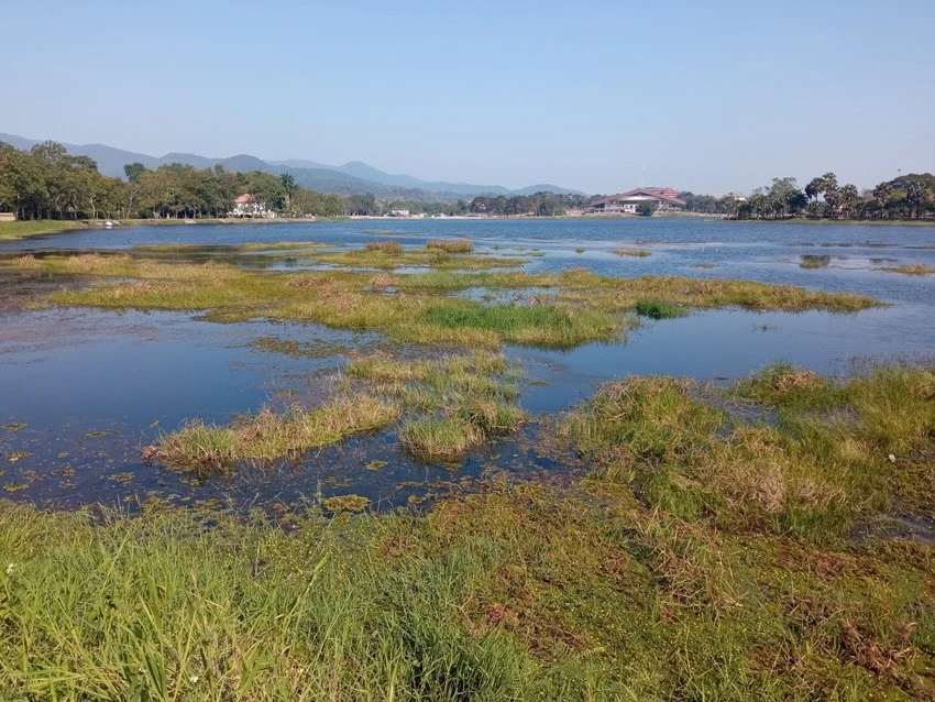 IMG_20221219_102444.jpg?type=w1600