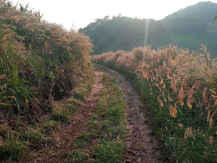 IMG_20221215_072854.jpg?type=w1600