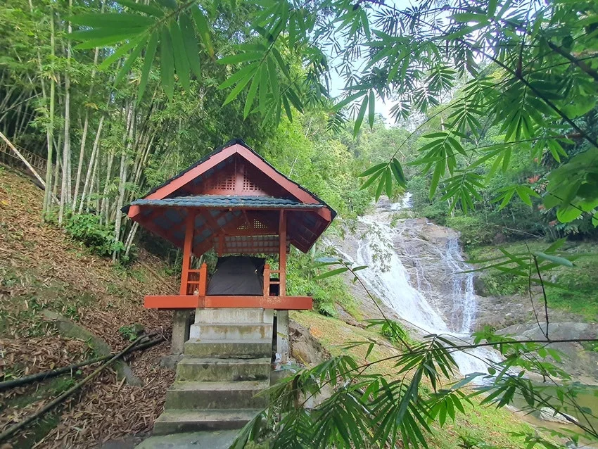 20250612_075426.jpg?type=w1600