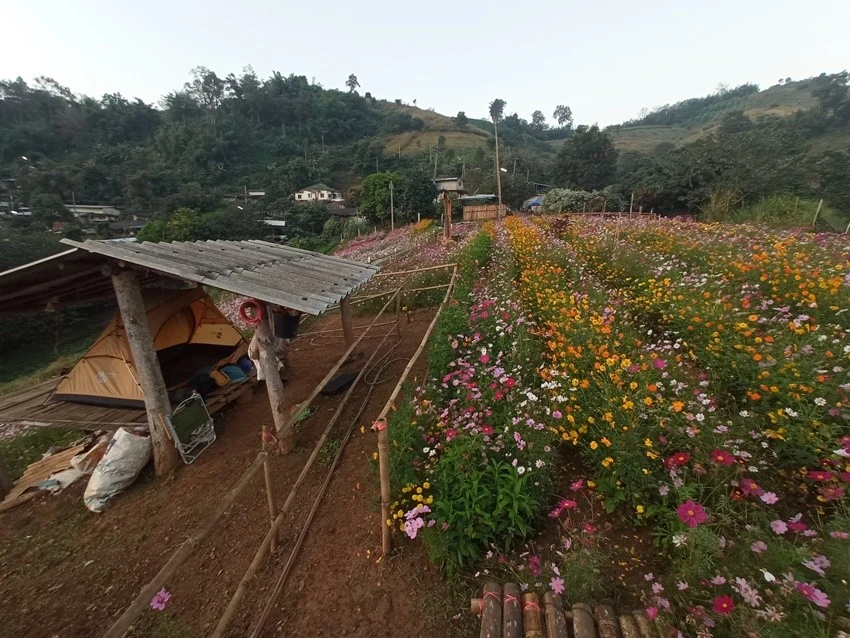 IMG_20221215_065126.jpg?type=w1600