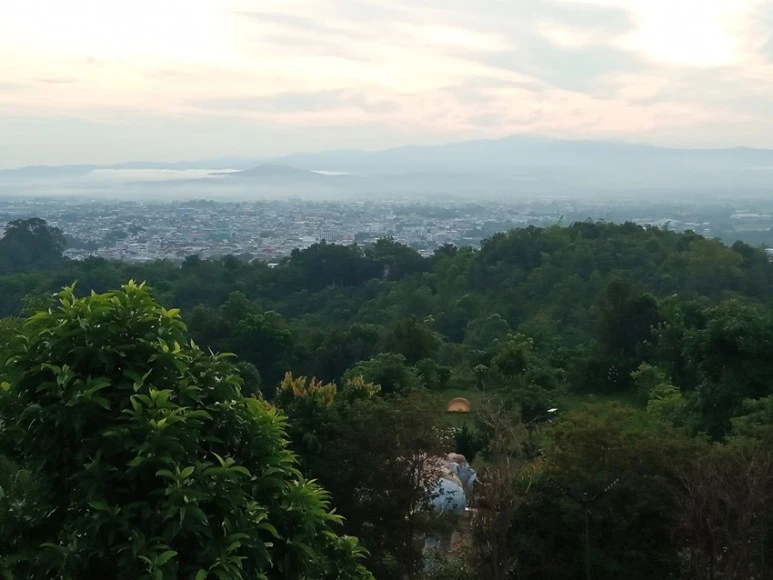 IMG_20220729_063535.jpg?type=w773