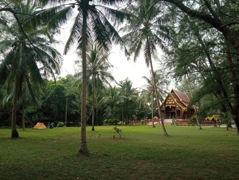 IMG_20210518_084742.jpg?type=w773