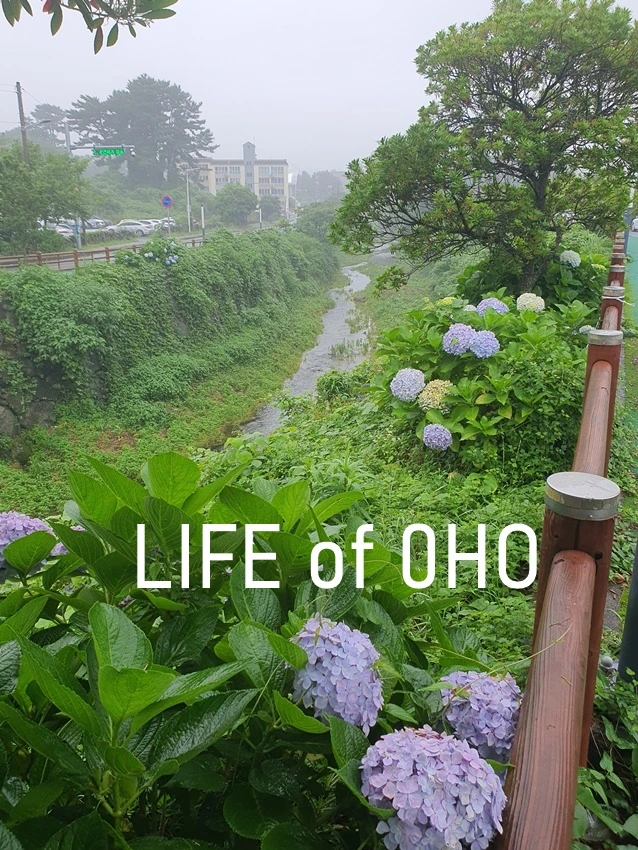 20240703_121248.jpg?type=w773