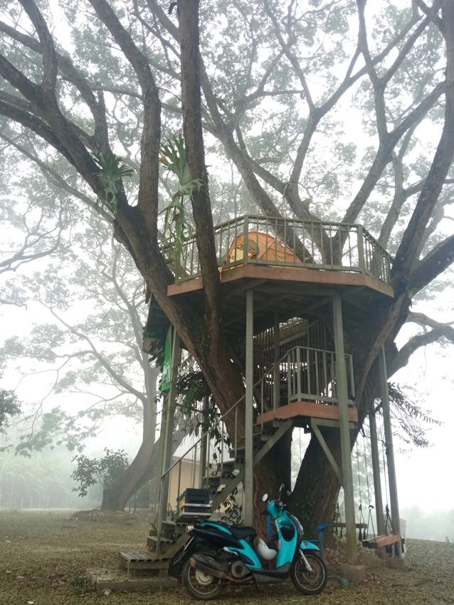 IMG_20221223_075827.jpg?type=w773