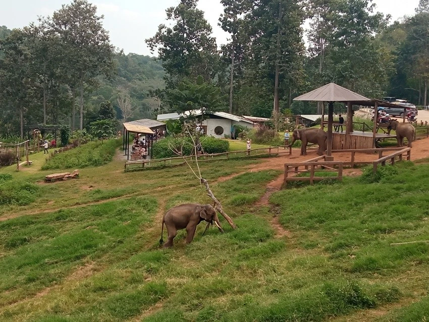 IMG_20221215_135522.jpg?type=w1600