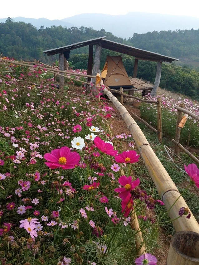 IMG_20221215_065504.jpg?type=w1600