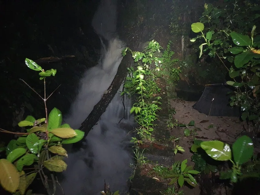 20250616_213711.jpg?type=w1600