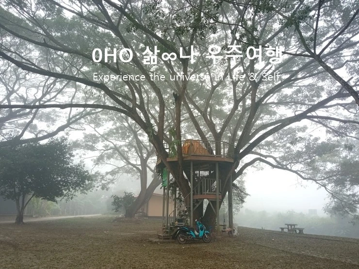 bottom.jpg?type=w1600