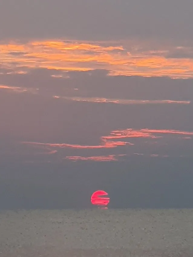 20250629_070212.jpg?type=w1600