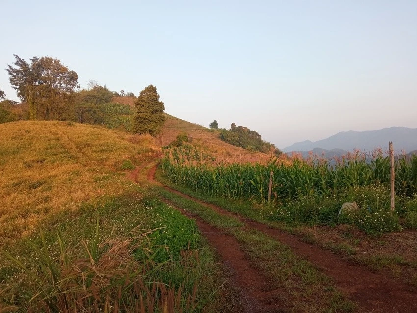 IMG_20221215_072347.jpg?type=w1600