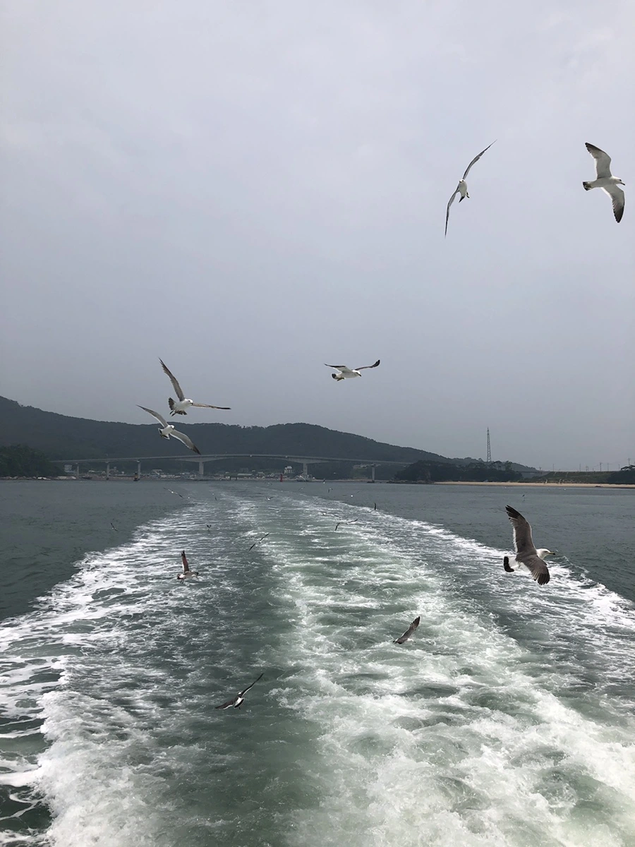 IMG_3929.JPG?type=w1