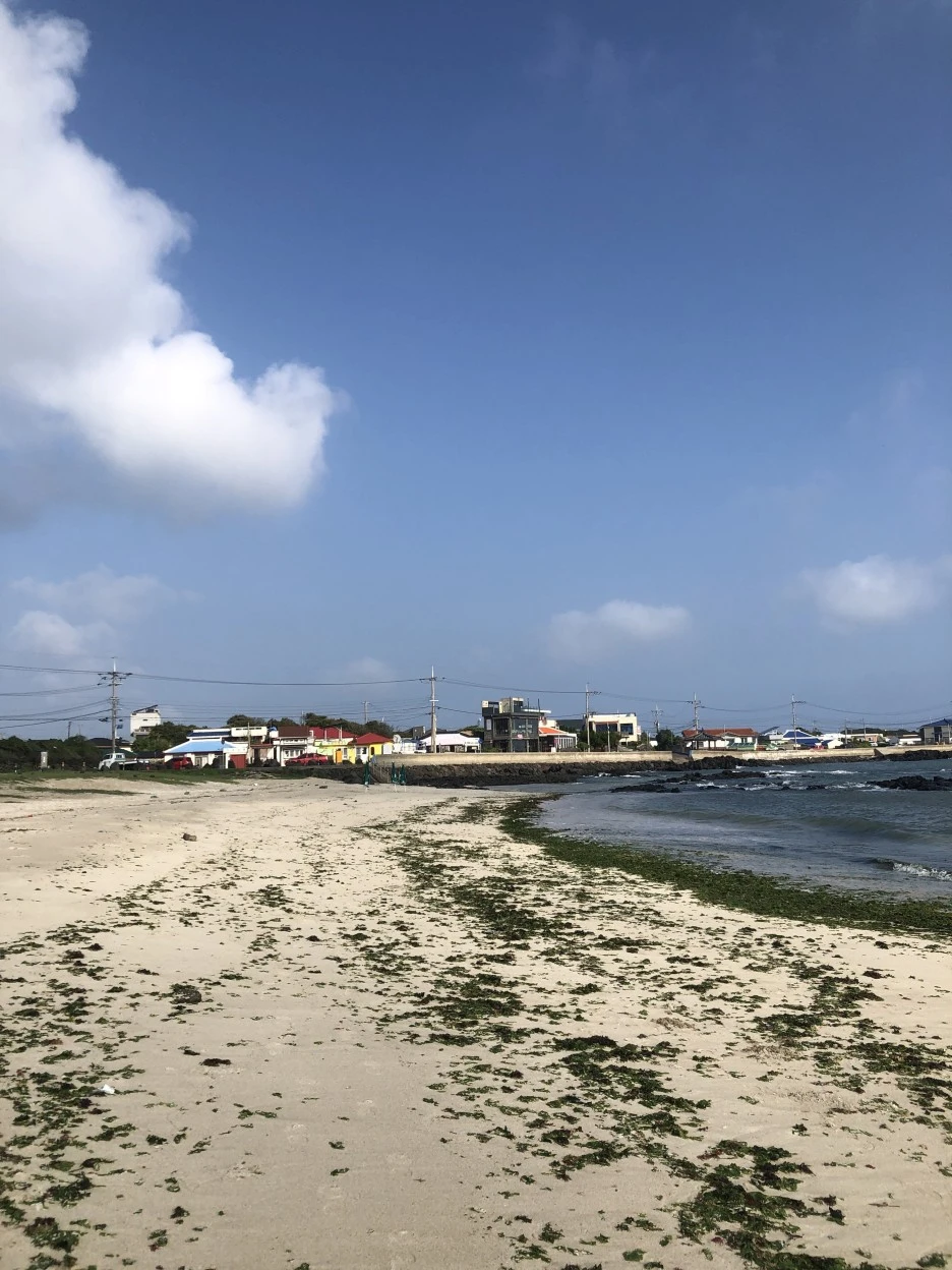 IMG_6252.JPG?type=w1