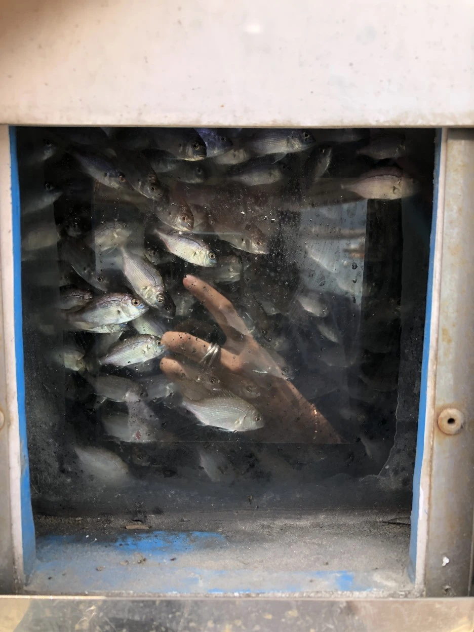 61832220-4900-4EFA-B1A6-68E0AE8C60CE.jpeg?type=w1