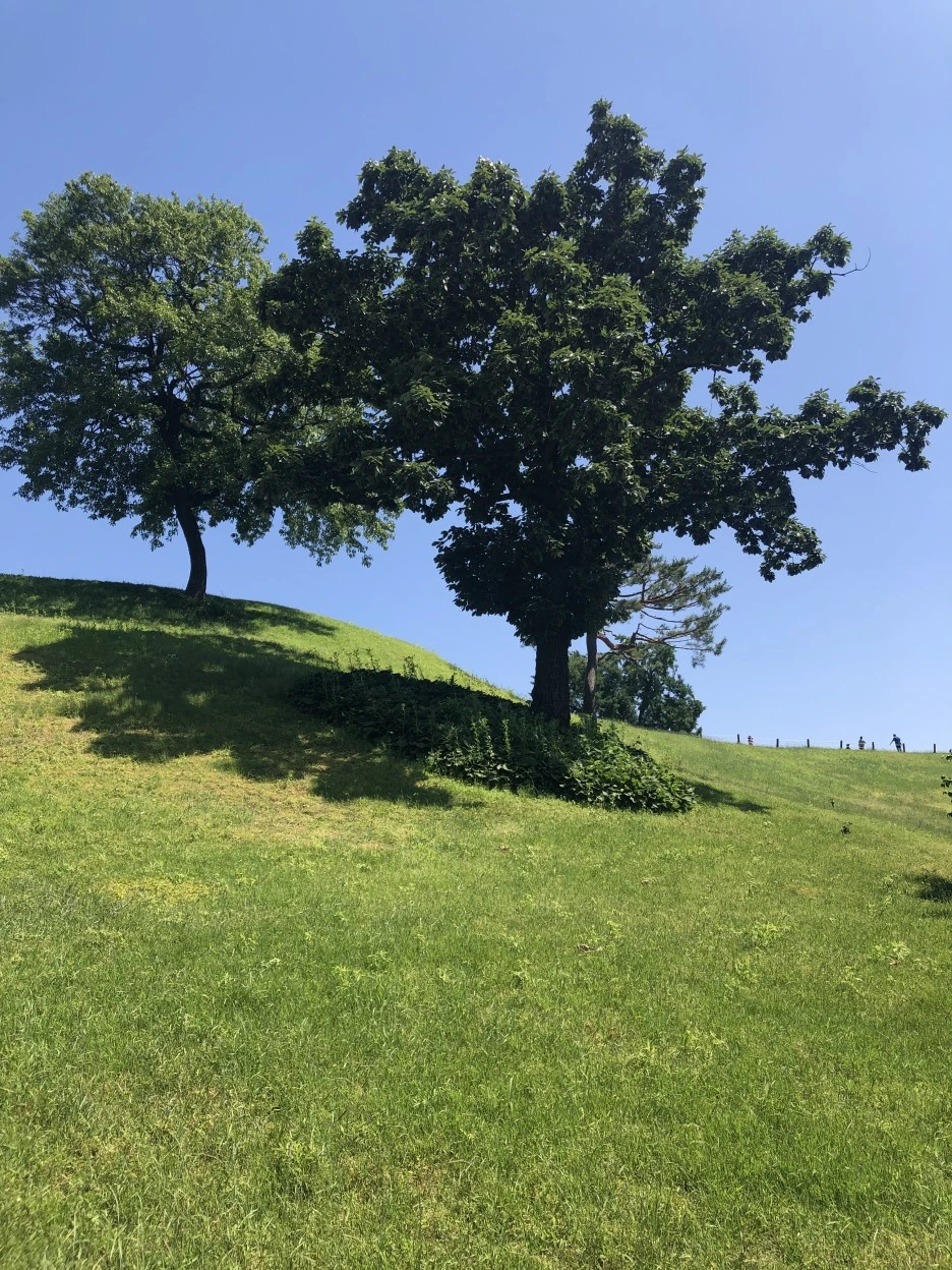 IMG_3061.JPG?type=w1