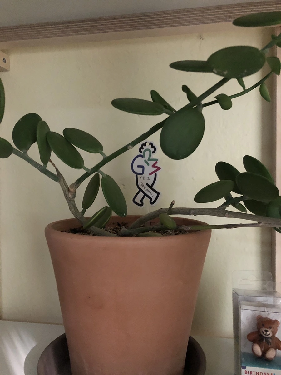 IMG_4598.JPG?type=w1