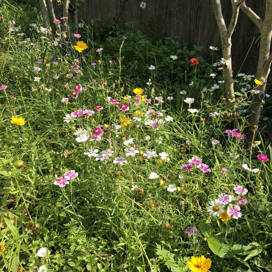 06F5DDB1-2CB5-4E73-BE5A-2C5BC1175F50.jpeg?type=w1