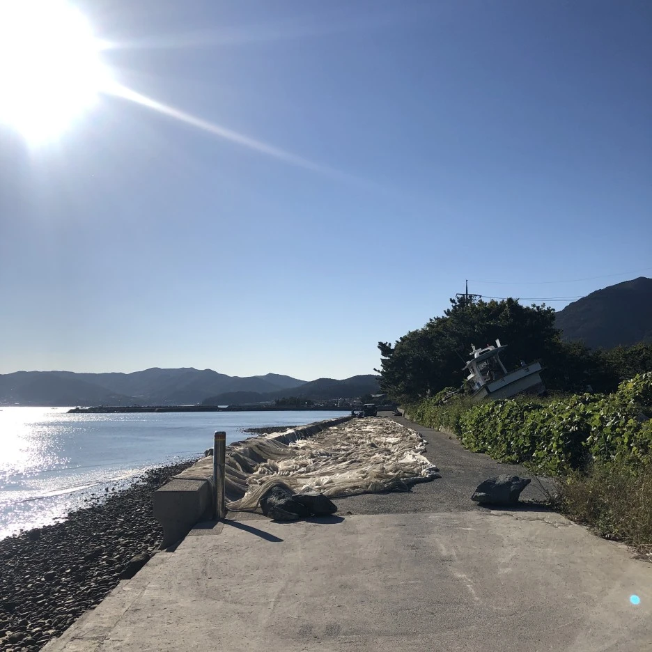 IMG_8781.JPG?type=w1