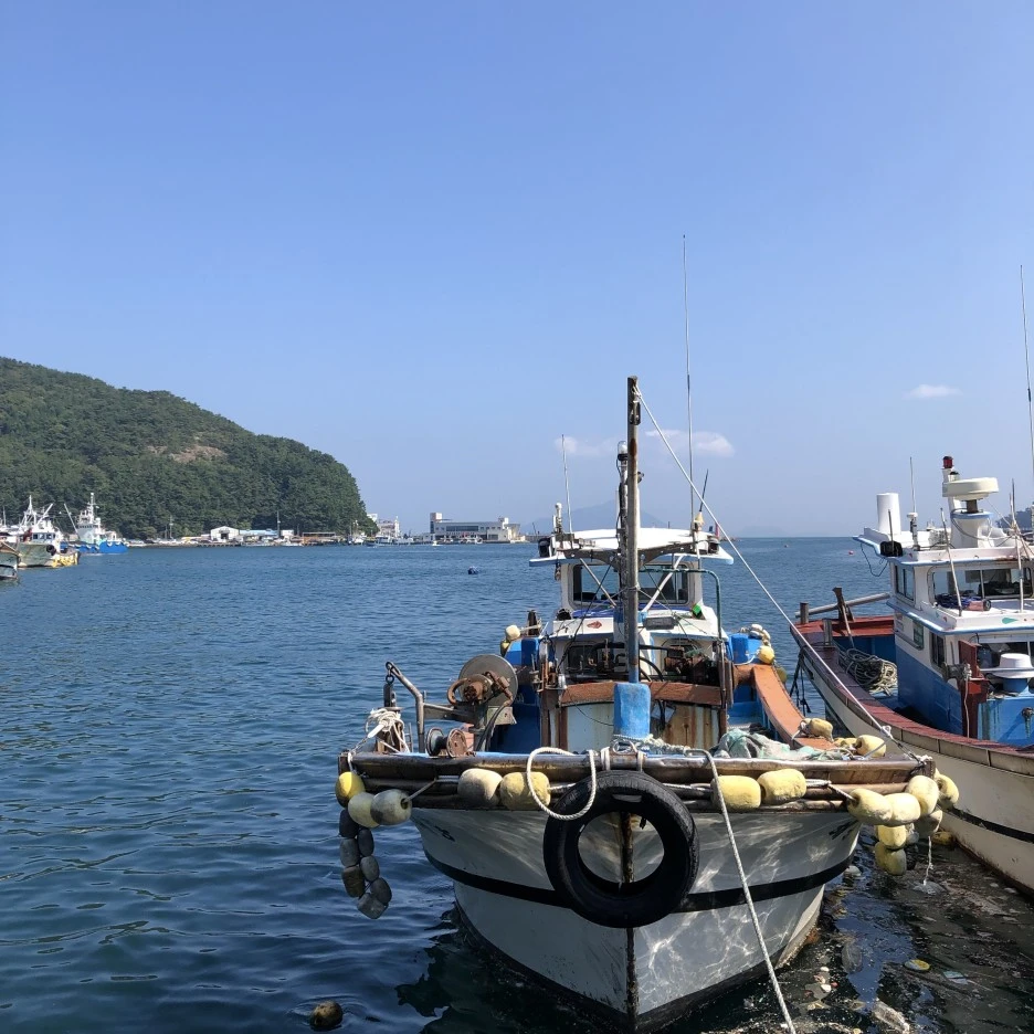 IMG_8449.JPG?type=w1