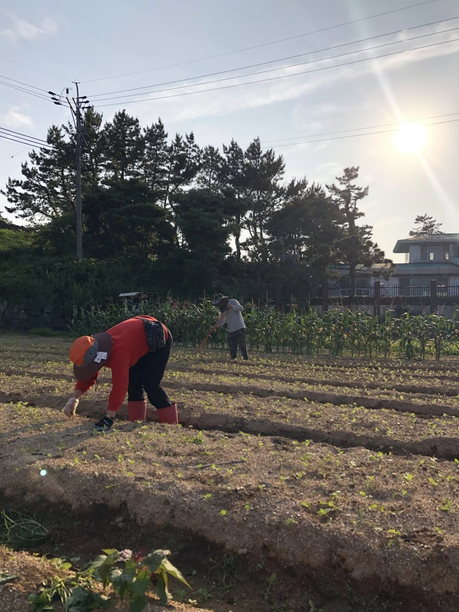 8895548D-5642-4E98-B399-C964B6CDF33F.jpeg?type=w1