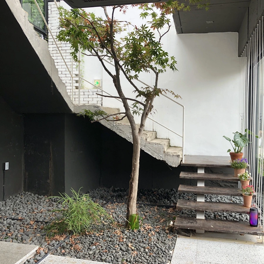 IMG_3430.JPG?type=w1