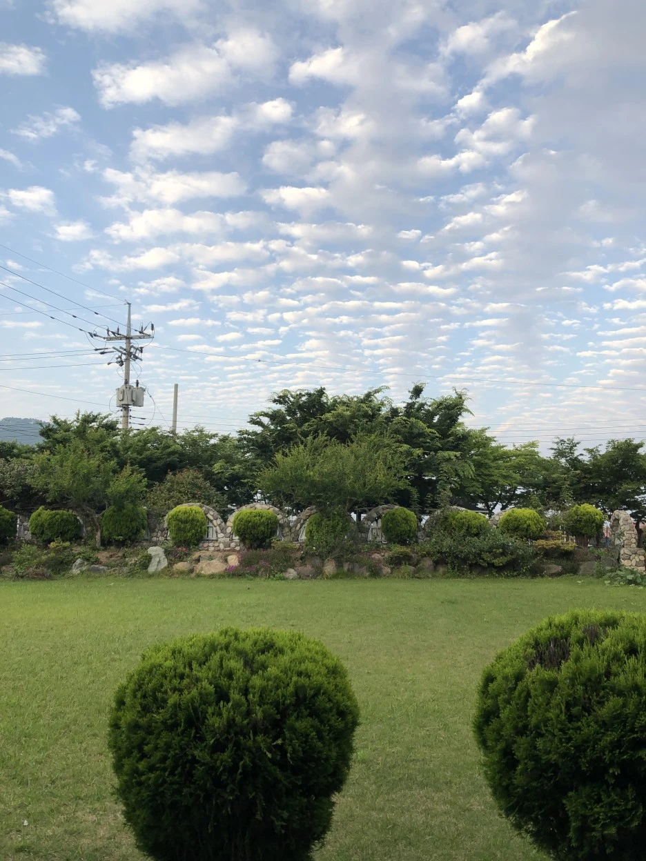 69E21C99-D02C-43EB-8D15-B2236C4CEECD.jpeg?type=w1