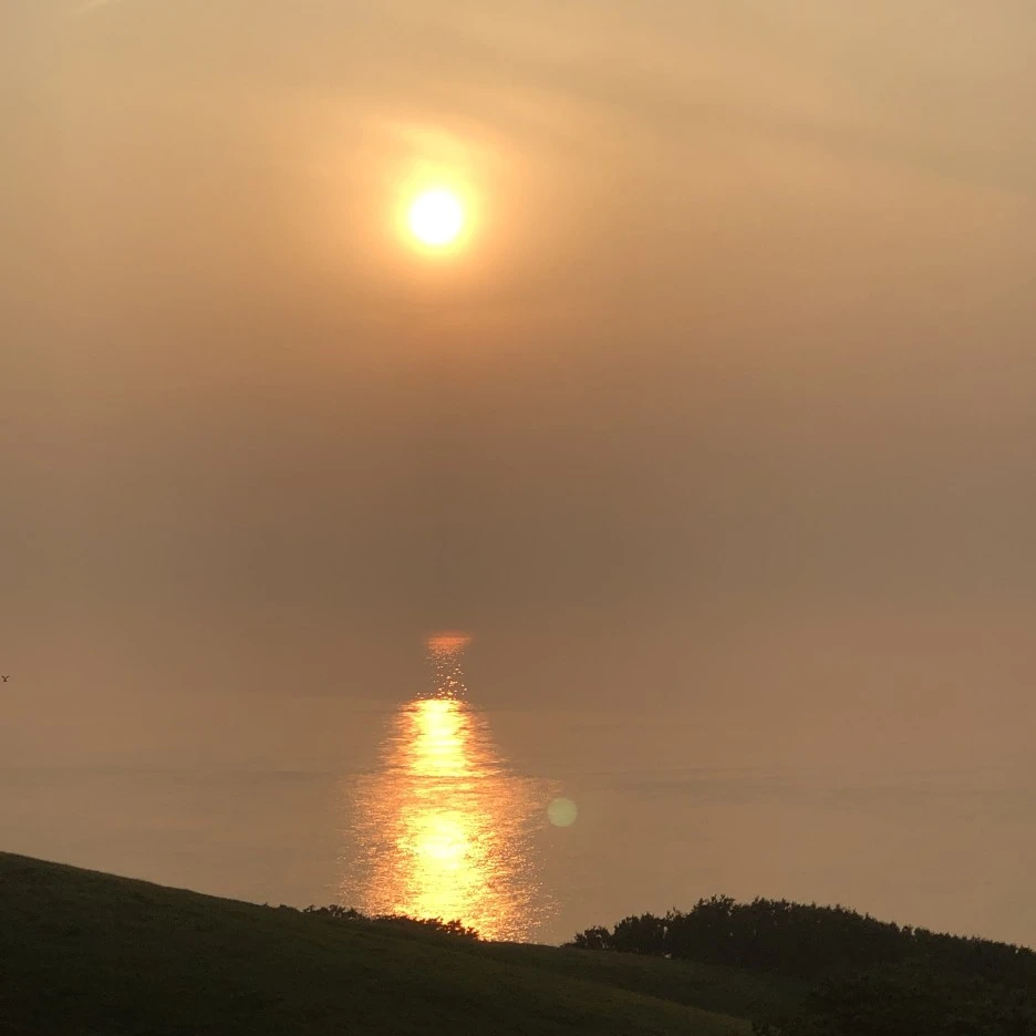 9DAB72FC-A947-4D34-84E2-533CC65EF691.jpeg?type=w1