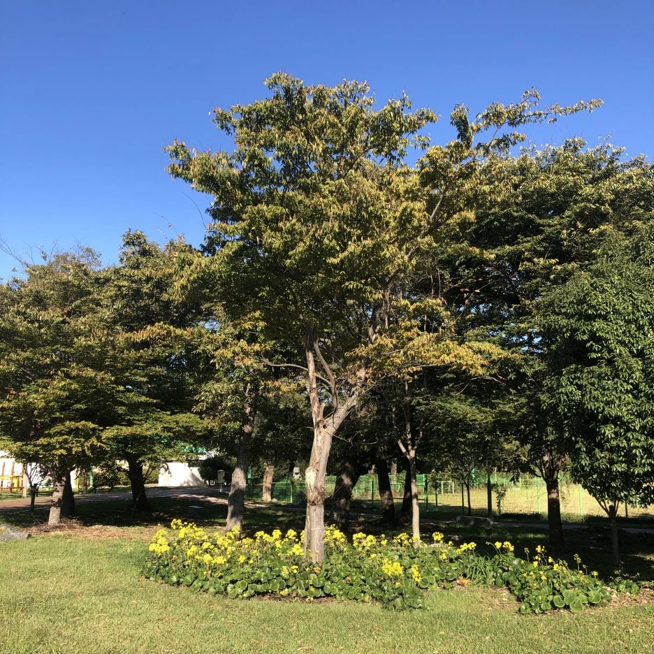 IMG_8770.JPG?type=w1