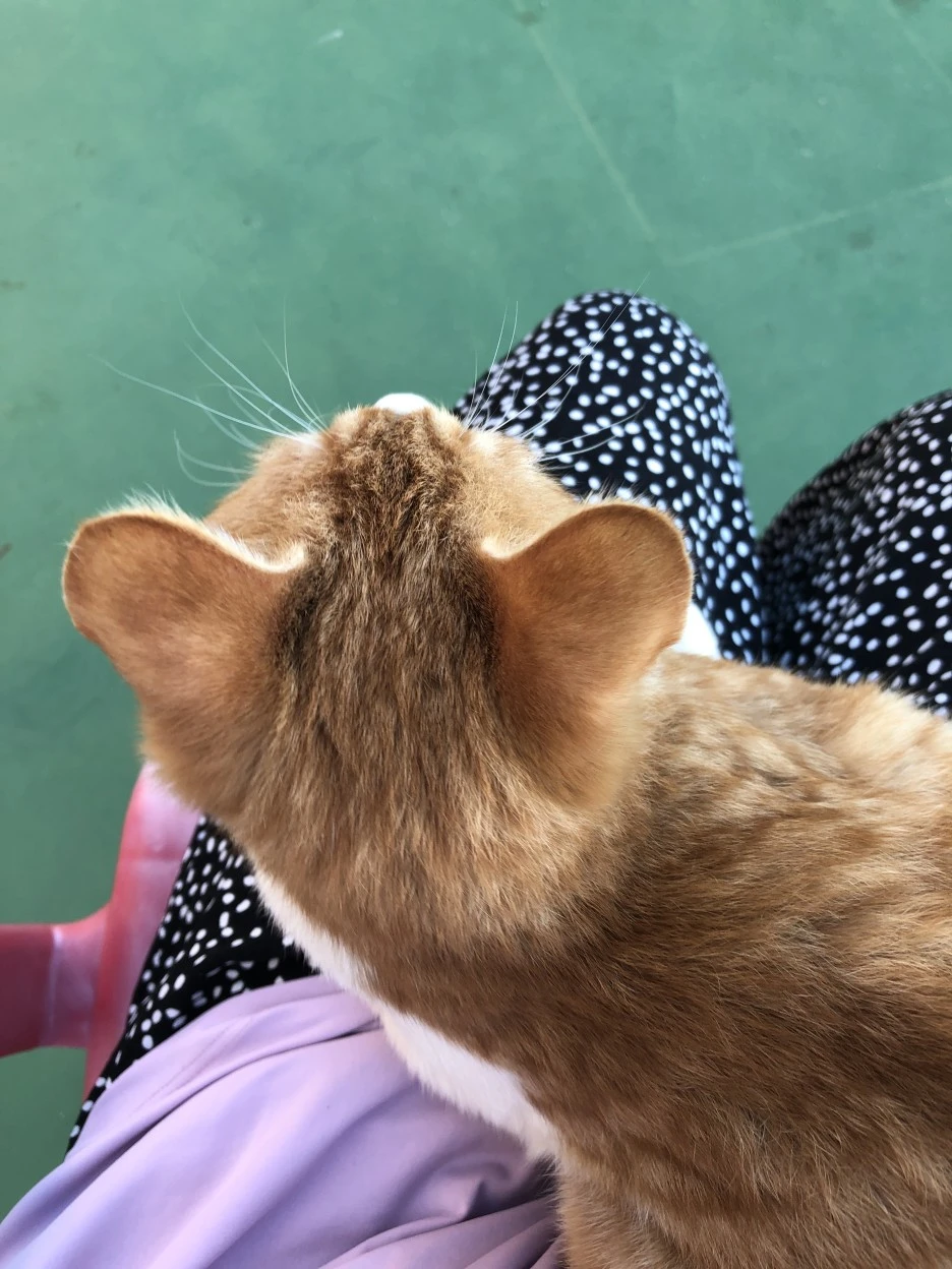 IMG_8628.JPG?type=w1