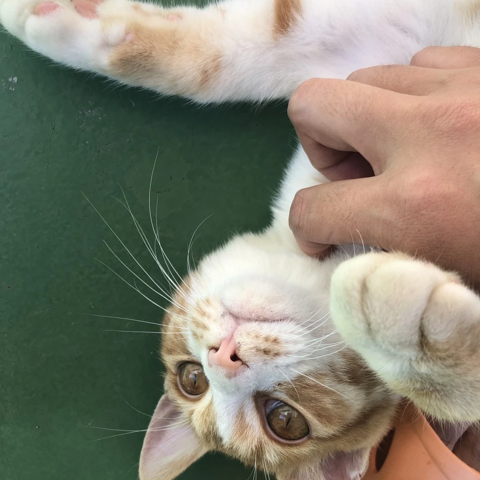 IMG_8580.JPG?type=w1