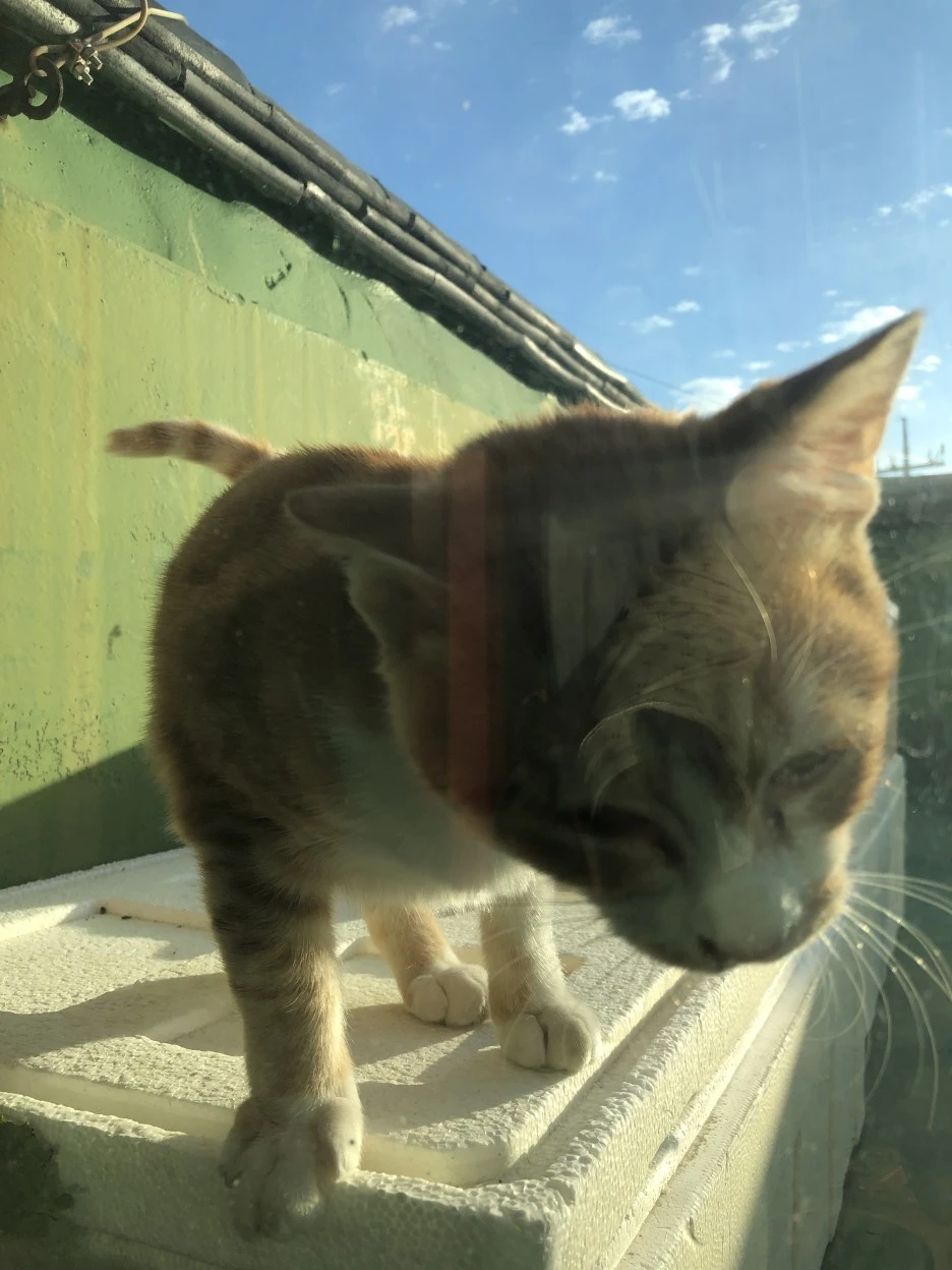 IMG_8913.JPG?type=w1