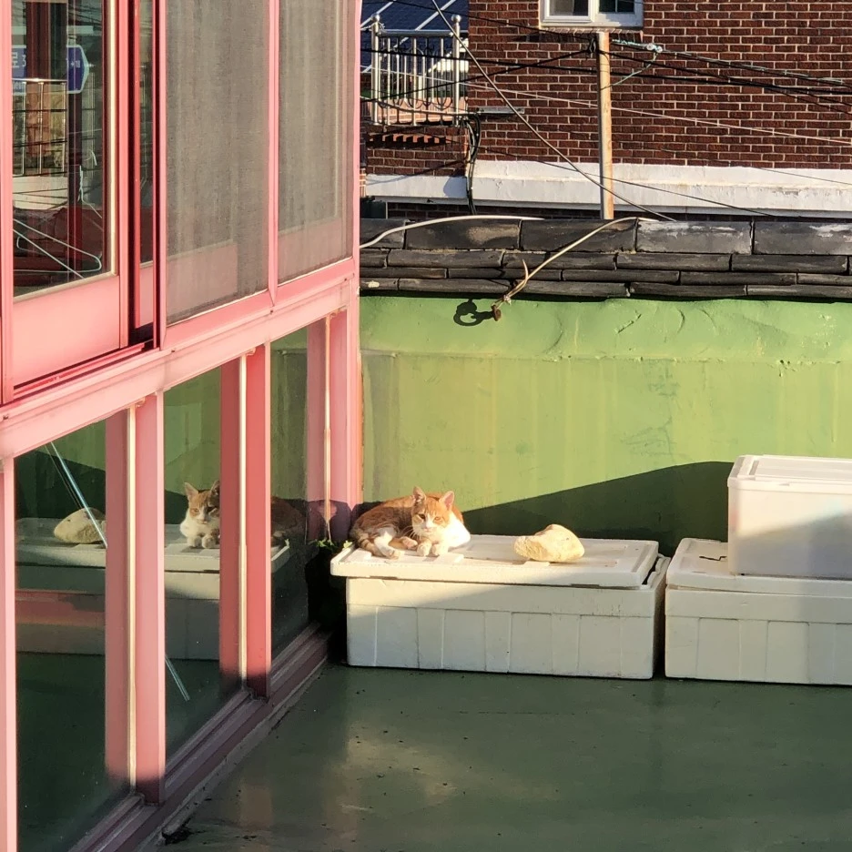 IMG_8556.JPG?type=w1